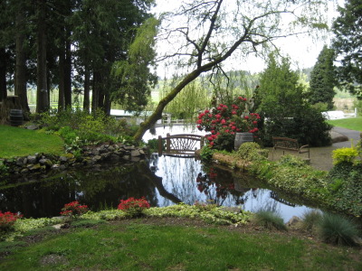 Shot looking over the pond and bridge at Delille